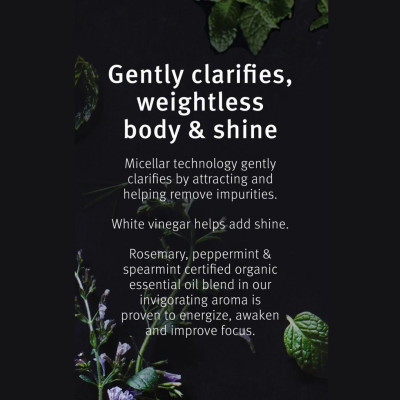 Aveda Rosemary Mint Purifying Shampoo Ferahlatıcı Canlandırıcı Nane Özlü Şampuan 1000ml Aveda Rosemary Mint Purifying Shampoo Ferahlatıcı Canlandırıcı Nane Özlü Şampuan 1000ml