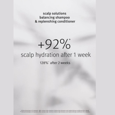 Aveda Scalp Solutions Replenishing Conditioner Saç Derisini Düzenleyen Saç Bakım Kremi 1000ml