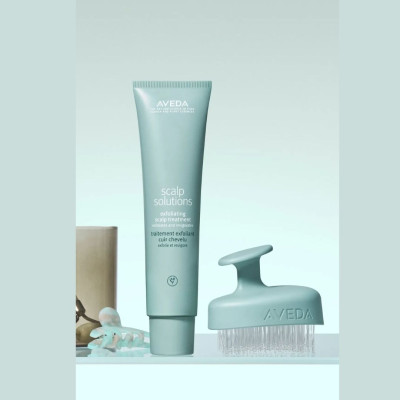 Aveda Scalp Solutions Exfoliating Scalp Treatment Saç Derisi Için Jel Peeling 150ml Aveda Scalp Solutions Exfoliating Scalp Treatment Saç Derisi Için Jel Peeling 150ml