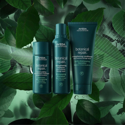 Aveda Botanical Repair™ saç onarıcı şampuan öncesi bakım 150ml Aveda Botanical Repair™ saç onarıcı şampuan öncesi bakım 150ml