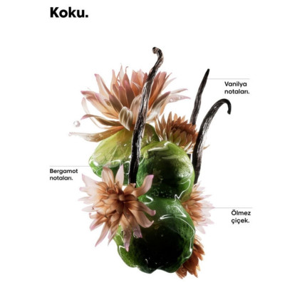 Loreal Professionnel Absolut Repair Molecular Çift Fazlı Profesyonel Bakım Yağı 30 ml Loreal Professionnel Absolut Repair Molecular Çift Fazlı Profesyonel Bakım Yağı 30 ml