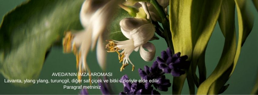 Aveda Abundant Blowout Hacim Veren Saç Misti 150ml